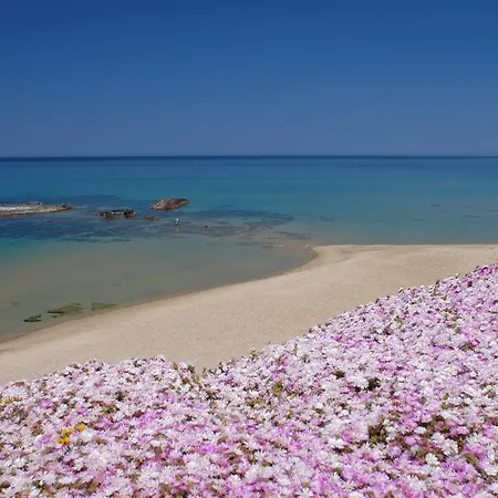 Sogno Di Rena דירה