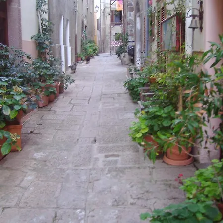 Sogno Di Rena *